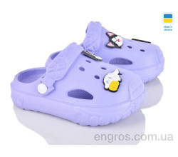 Кроксы Golden Lion